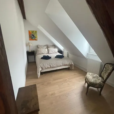 Cocon Alsacien - 5 Min Du Centre *