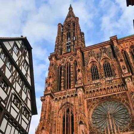 Cocon Alsacien - 5 Min Du Centre Strasburgo