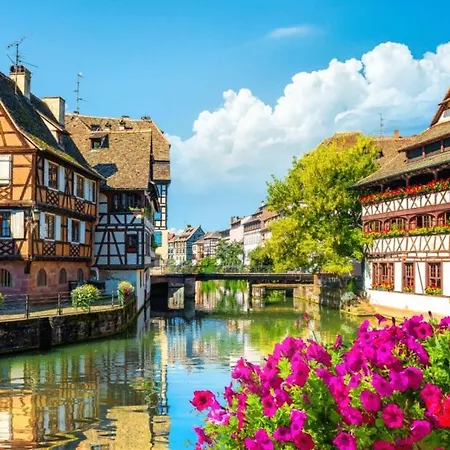 Cocon Alsacien - 5 Min Du Centre Strasburgo