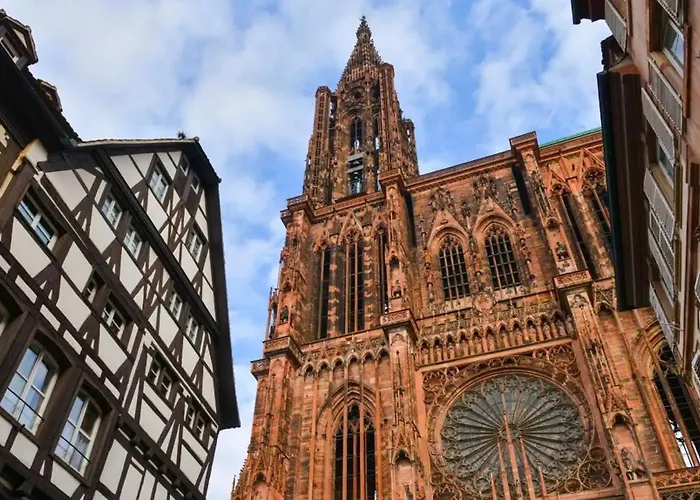 Cocon Alsacien - 5 Min Du Centre Strasburgo