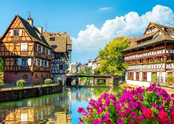 Cocon Alsacien - 5 Min Du Centre Strasburgo