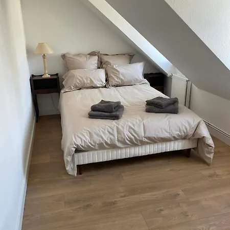Apartment Cocon Alsacien - 5 Min Du Centre *